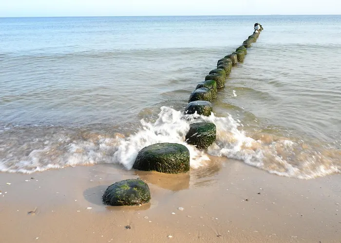 Daire Kleiner Seehof - 01